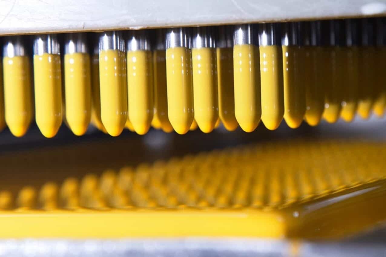 How Are Vegetable Capsules Made